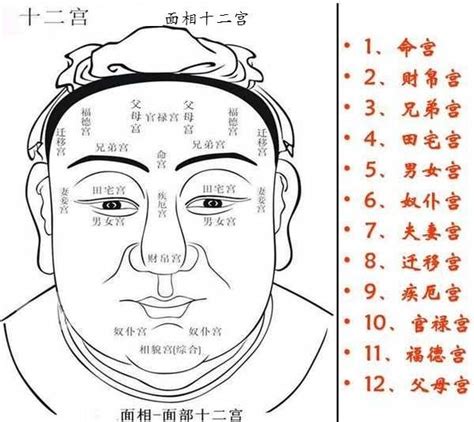 臉上有毛面相|面相秘籍之：罕見的毫毛相法